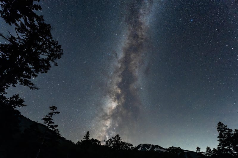 Plants under the Milky Way
